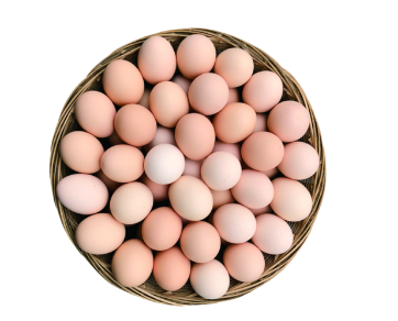 期货鲜鸡蛋主力合约规律_鸡蛋期货交易单位