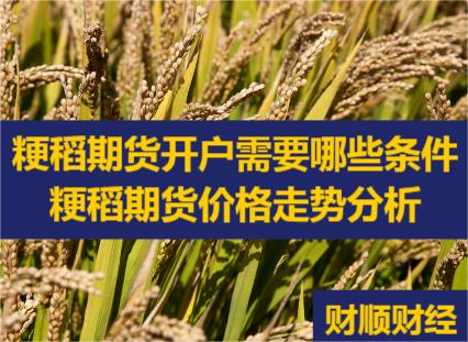粳稻期货开户需要哪些条件_粳稻期货价格走势分析