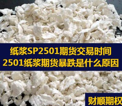 纸浆SP2501期货交易时间_2501纸浆期货暴跌是什么原因