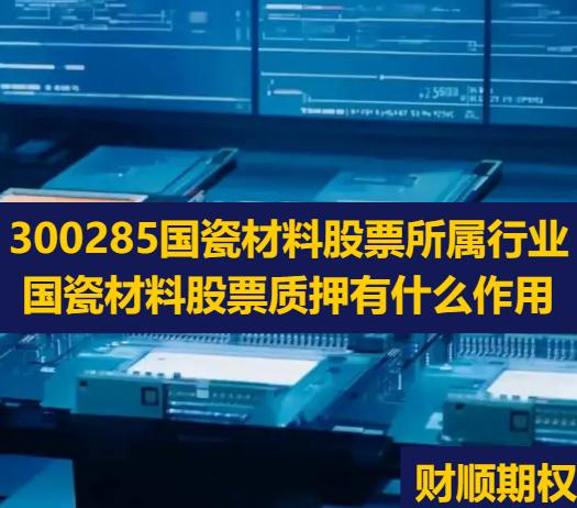 300285国瓷材料股票所属行业_国瓷材料股票质押有什么作用